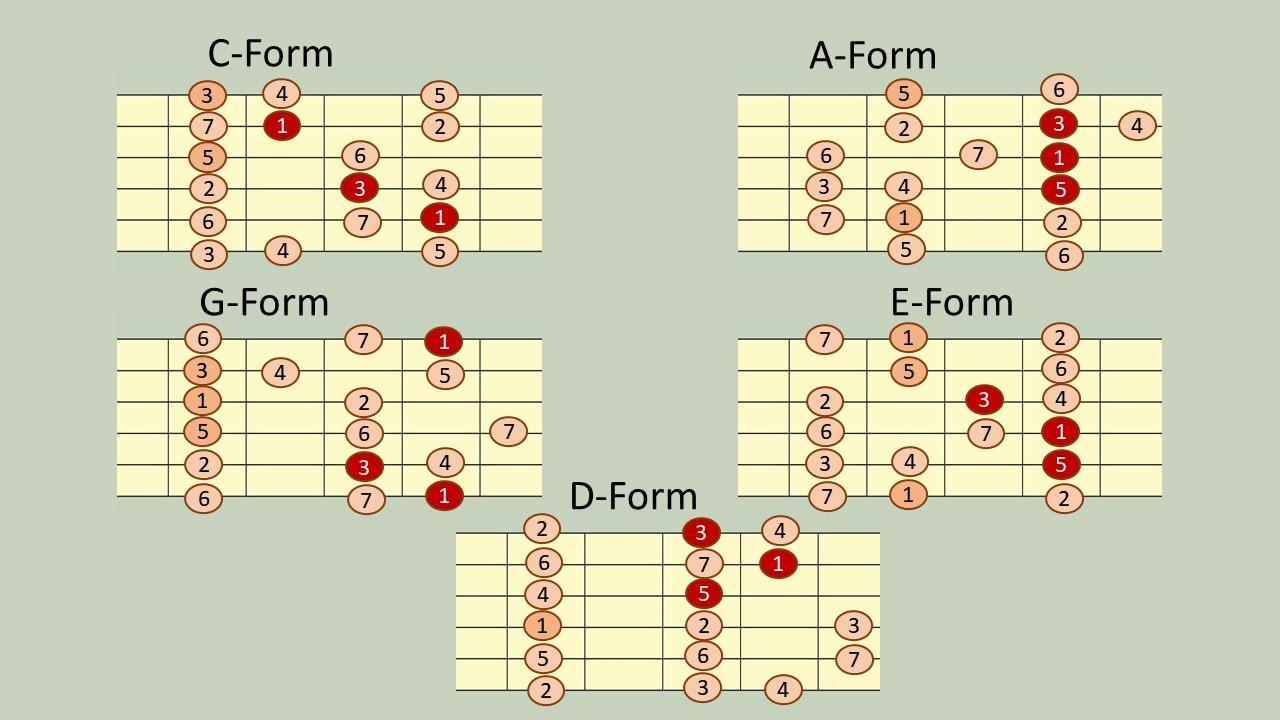 Wie kann ich Tonleitern für Gitarre lernen? Superprof